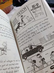 Diary of a Wimpy Kid Collection 1_12