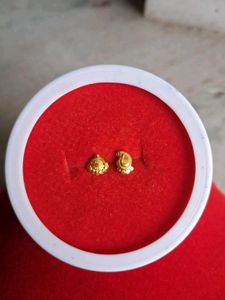 Elegant Gold nosepin