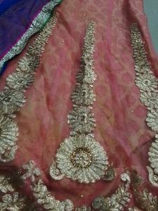 New Net Lehanga With Choli