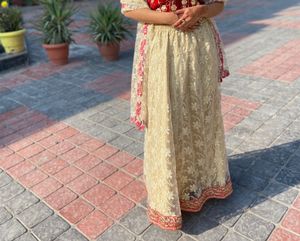 Golden net skirt with red colored border