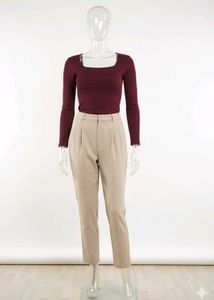 Zara Burgundy fitted Top