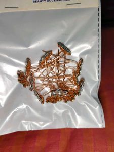 silara hair pins-pack of 12