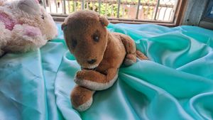 cute lion plushie | soft toys