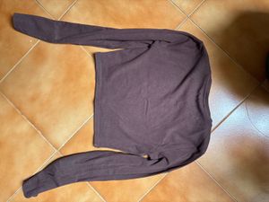 Zara Brown Long Sleeve Cropped Top