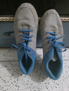 Gray &amp; Blue Sneakers