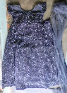 Stunning Sequined Lehenga Choli