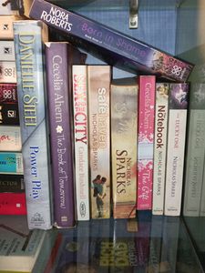 Nicolas Sparks Danielle Steel And Nora Roberts
