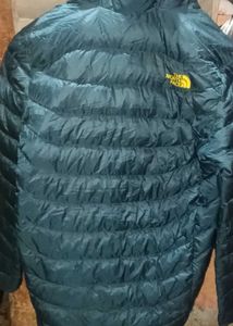 Puffy Jacket