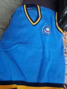 Blue V-Neck Sweater Vest