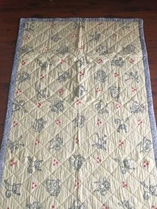 Cute Monkey Print Quilt-(0 to 5yrs)