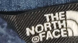 The North Face Blue Hoodie