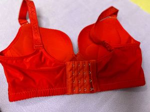 Red Bra with Embroidery