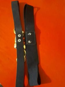 Fashionable Black Belts with Gold Accents