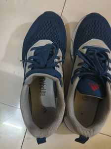 Adidas Ortholite Sneakers For Sale