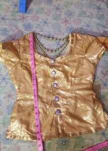 Embroidered Lehenga in Purple colour