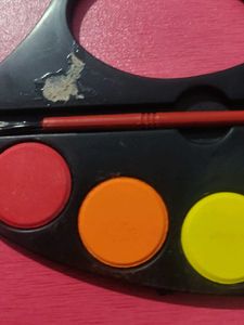 : 🎨 Vibrant 12-Color Watercolor Palette - Bilkul