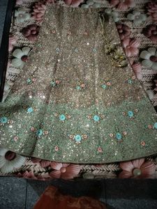 Stunning Embroidered Lehenga Choli