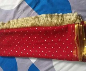 Stunning Red Saree with Gold Embellishments