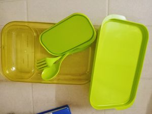 Spacious Green Colour Transparent Lunch Box