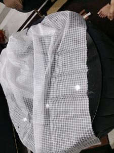 Elegant White Net Dupatta