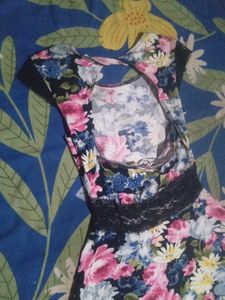Floral Print Fit &amp; Flare Dress