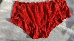 Lace Trim Red Briefs
