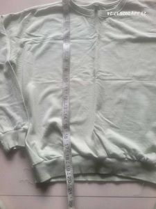 Pastel Green Crew Neck Sweatshirt