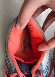 Sport Shoes