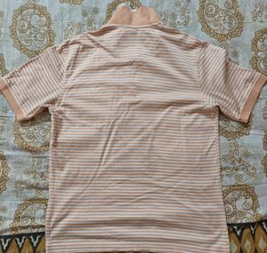 Peter England Elite T Shirt L Size