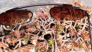Stylish Aviator Sunglasses