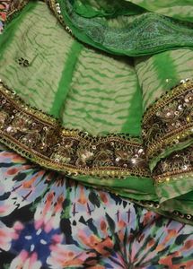 Saree with Embellished Border