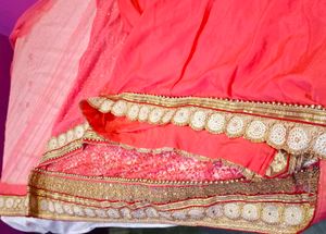 Beautiful Lehenga Saree