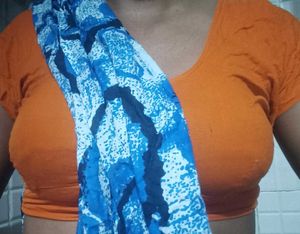 Daily Wear Blouse