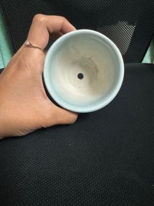 White And  Blue Ceramic Planter With Plate