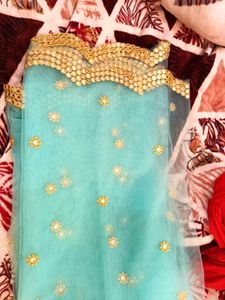 Net Dupatta with Embellishments
