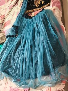 Embroidered Velvet Chania Choli S to M size