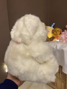 Adorable Plush Teddy Bear