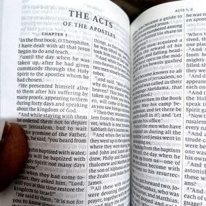 Mini Bible (New Testament Psalms)