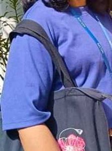 Casual Blue Half Sleeve T-Shirt