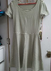 Striped Casual Fit and Flare Dress