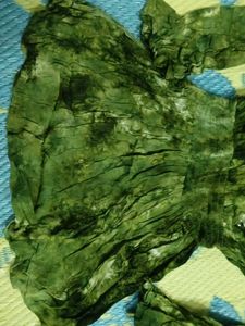 Green Tie-Dye Top