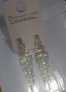 Sparkling Drop Earrings