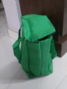 Vibrant Emerald Green Tiffin bag price drop down