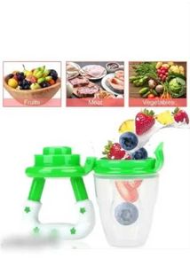 Baby Fruit Feeder Pacifier Set