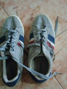 USPA Grey Casual Sneakers