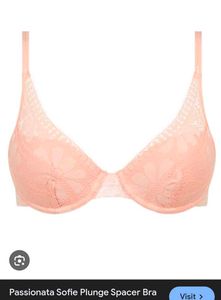 Lace embroidery plunge bra with brief 👍