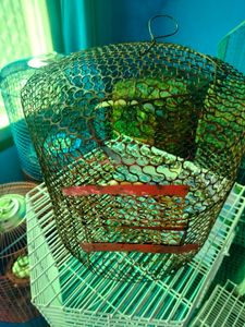 Parrot Cage ( Pijara)