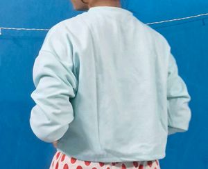 Pastel Blue Cropped Sweatshirt