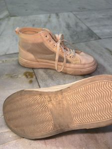 Always In Trend