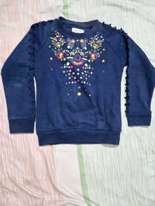 Blue Embroidered Sweatshirt